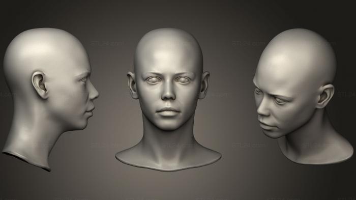 Anatomy of skeletons and skulls (Female Head 13, ANTM_0508) 3D models for cnc